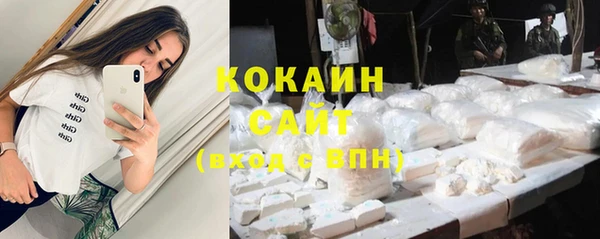 бошки Белокуриха