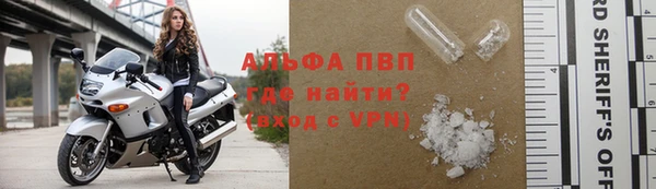 бошки Белокуриха
