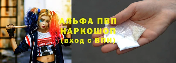 амф Беломорск