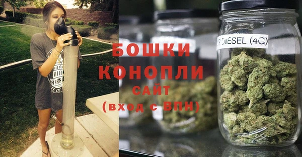 бошки Белокуриха