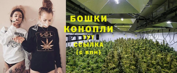 бошки Белокуриха